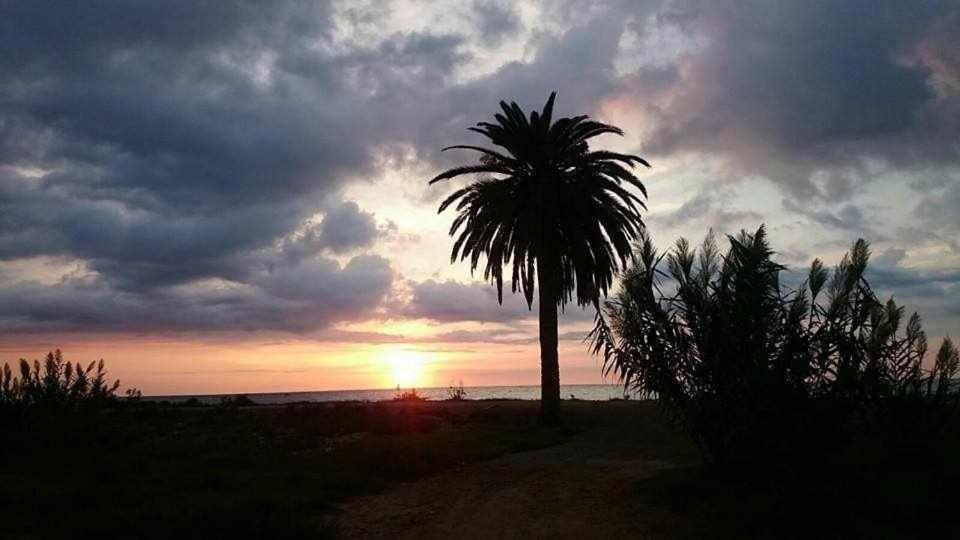 Mediterrania Marina Sagunto Rom bilde