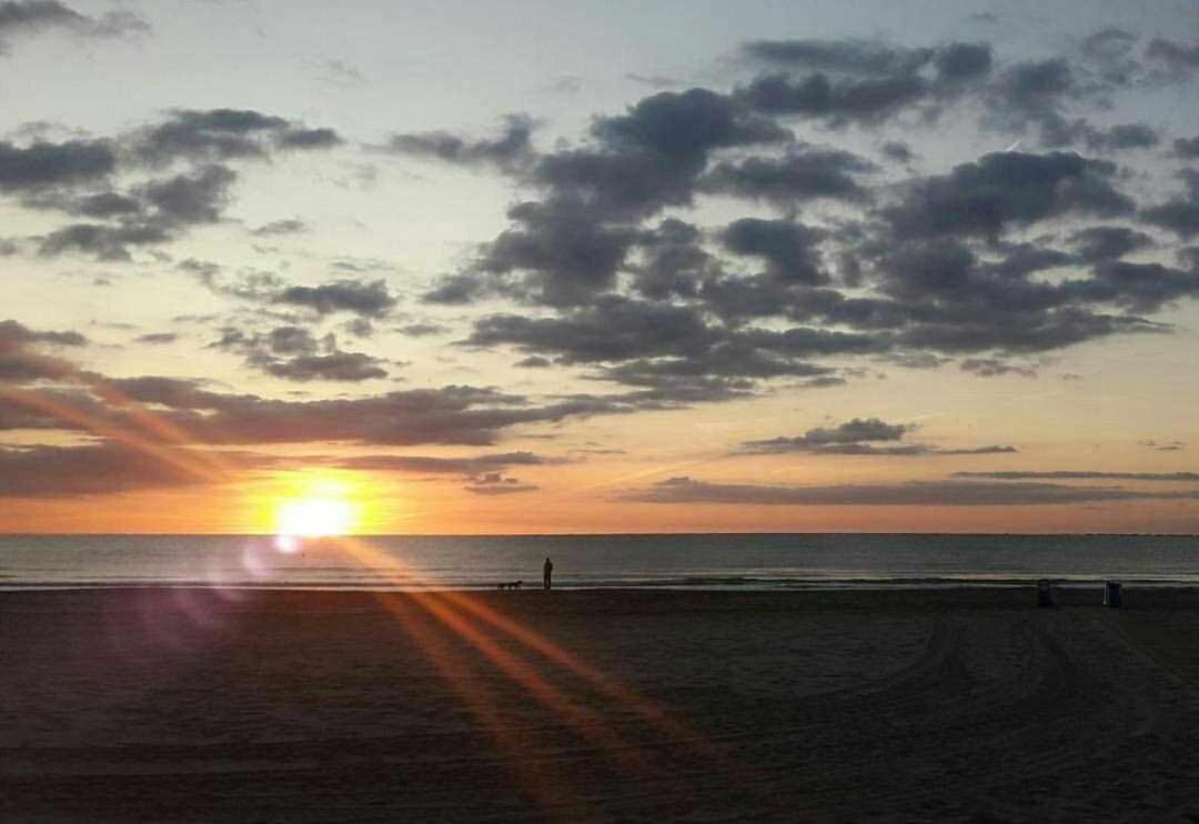 Mediterrania Marina Sagunto Rom bilde